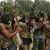 See how to end Niger Delta millitant